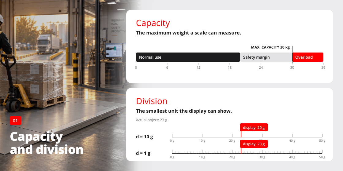 Diagram of the capacity and division of an industrial scale: maximum weight, safety margin and display division (d = 10 g and d = 1 g)
